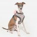 Pettorina Pinkaholic TAILSY HARNESS